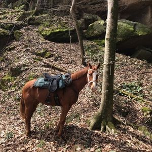 Meet your Posher, Karen